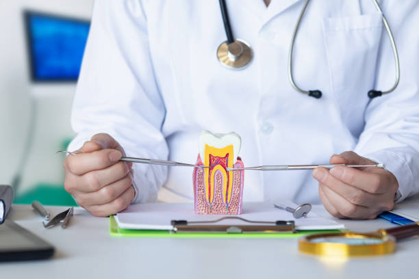 Best Emergency Dental Care for Broken or Chipped Teeth in Riva, MD